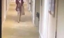 西藏客棧爆料女孩視頻,揭秘背后真相