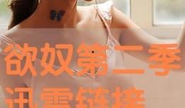 欲奴全集在線觀看,一場禁忌欲望的極致演繹