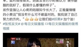 天涯爆料聶磊的貴人視頻,視頻曝光背后的權(quán)謀風(fēng)云