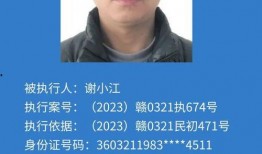 蓮花縣今日爆料電話,揭秘?zé)峋€電話背后的故事