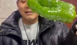 臺灣健身網(wǎng)紅吃瓜圖片,身材與美食的完美平衡