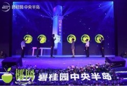 海南碧桂園爆料視頻大全,揭秘項(xiàng)目背后的真相與爭(zhēng)議