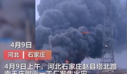 泉州媒體爆料事件視頻,真相與爭議并存