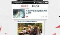 鳳凰新聞爆料電話號(hào)碼,揭秘新聞背后的真相