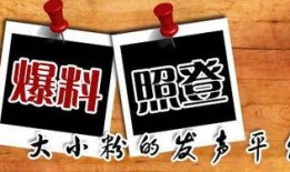 怎么爆料地方新聞,如何有效爆料，助力社會公正