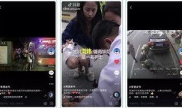 都市真實(shí)爆料視頻下載,真實(shí)爆料視頻背后的驚人真相