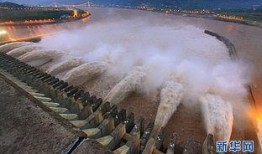 大壩新聞爆料視頻播放,視頻爆料背后的真相與影響