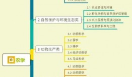 叉子爆料緬甸視頻大全集,叉子爆料視頻大全集深度解析