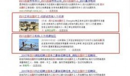 抖音武漢爆料視頻,揭秘城市生活新視角
