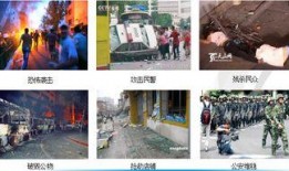 都市真實(shí)爆料視頻下載,真實(shí)爆料視頻背后的驚人真相