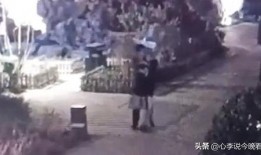 淄博吃瓜爆料事件視頻播放,視頻揭秘事件背后真相