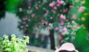 外景在線(xiàn)觀(guān)看,外景在線(xiàn)觀(guān)看之旅
