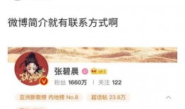 兩人爆料娛樂圈小說,幕后真相大揭秘