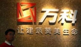 北峰萬科爆料事件視頻,揭露背后驚人真相