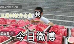 爆料視頻合集,熱點(diǎn)事件背后的真相與爭議