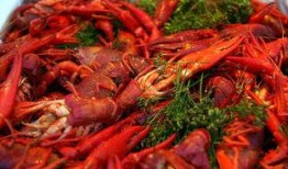 爆料戶外小龍蝦視頻播放,視頻曝光烹飪?nèi)^程，網(wǎng)友直呼過癮！