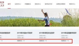 鵬程最新消息爆料,揭秘行業(yè)動態(tài)，洞察未來趨勢