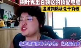 爆料白姨視頻,一場引人入勝的爆料大戲