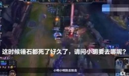 黑龍爆料假拳視頻大全集,假拳視頻大全集深度剖析